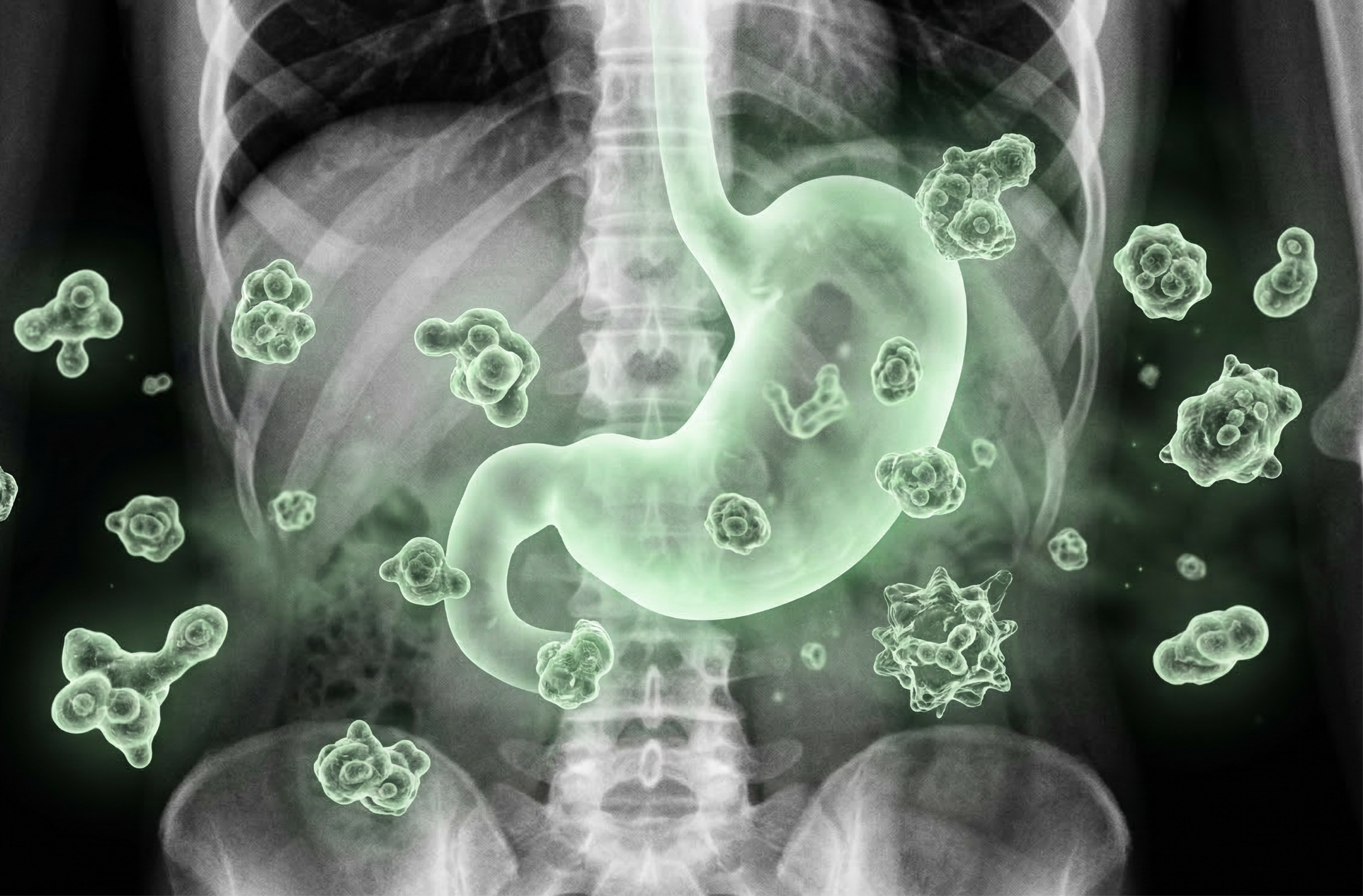 УЗИ желудка с водно-сифонной пробой ребёнку в Хабаровске